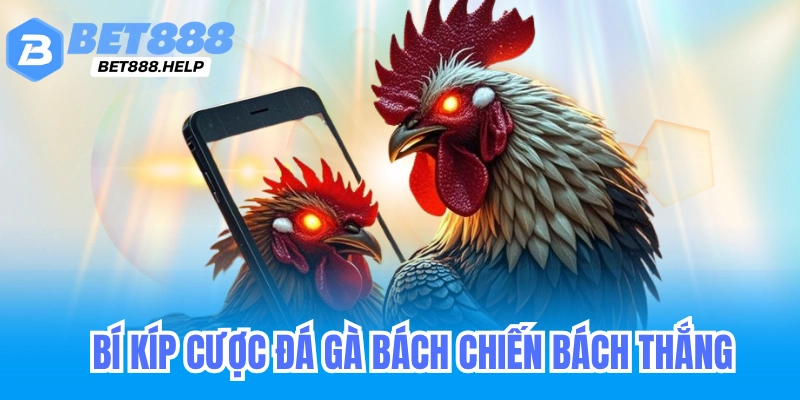 Bí kíp cược đá gà online bet88 onlie bách chiến bách thắng