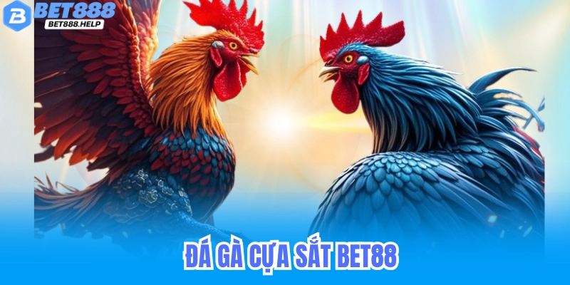 Đá Gà Cựa Sắt Bet88 - Cách Chơi Dành Cho Tân Thủ